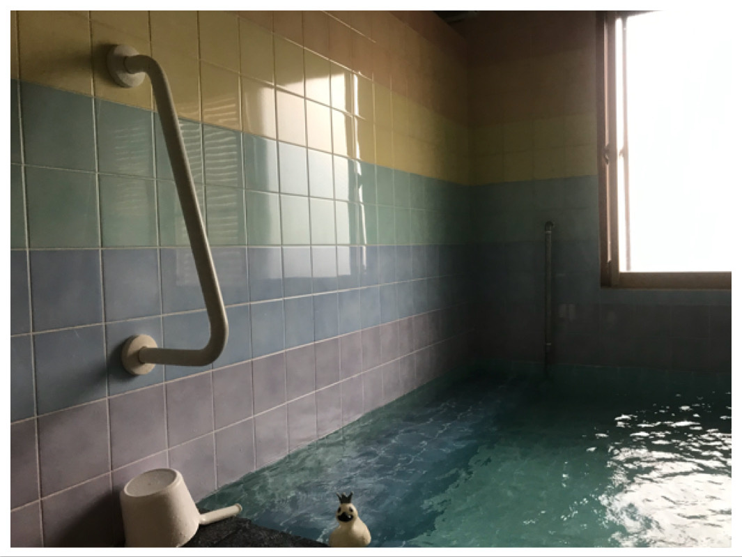 ぬるま湯 レインボーのぬる湯美肌温泉」山鹿温泉新青山荘 | 現役アナウンサーの