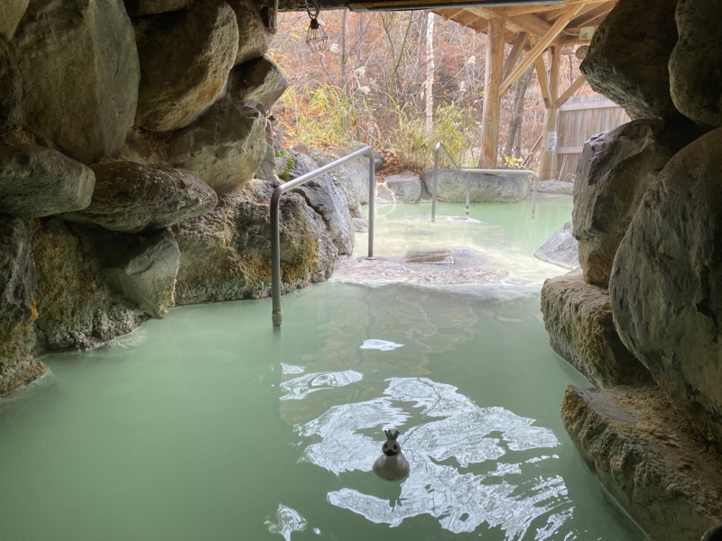 紅葉とたぬきとエメラルドグリーン温泉」七味温泉紅葉館 | 現役